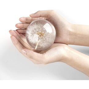 Real Dandelion Paperweight, Dandelion in Resin Ball, Home Office Decor, Real Dandelion Specimen Ball, Resin Ball and Gift Package for Anniversary Christmas Birthday Valentines Wedding Gift