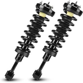 Front Left Right Strut Shock Absorber 171361 4WD ONLY Fit for Ford F-150 2004-2008, for Lincoln Mark LT 5.4L 2006-2008, with Coil Spring Complete Strut Assembly, 1 Pair
