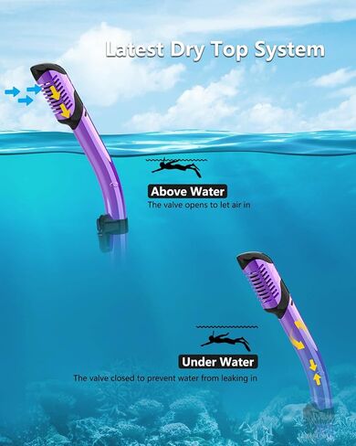 Bairuifu 2 Packs Dry Snorkel Mask Set Snorkeling Gear for Adults Scuba Diving Mask Swimming Glasses Swim Dive Mask Nose Cover Free Diving in Kuwait