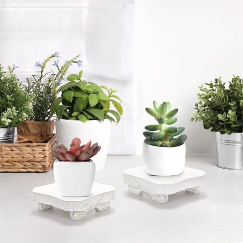 WUWEOT 4 Pack Mini Wooden Plant Stand, 4" x 4" White Wood Candy Risers Small Plant Stool, Decoration Cupcakes Tray Display Holder for Home Kitchen in Saudi Arabia