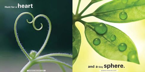 Shape Search | Juvenile Nonfiction Book | Reading Age 7-12 | Grade Level 2-6 | Touches on Concepts, Size & Shape | Reycraft Books| Coming 2/6/24! in Saudi Arabia