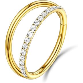 1PC Nose Ring Hoop G23 Titanium CZ Helix Rook Conch Cartilage Daith Tragus Earrings Hinged Segment Nostril Piercing Septum Clicker 18G 16G Silver Gold Lip Ring 8mm 10mm 12mm