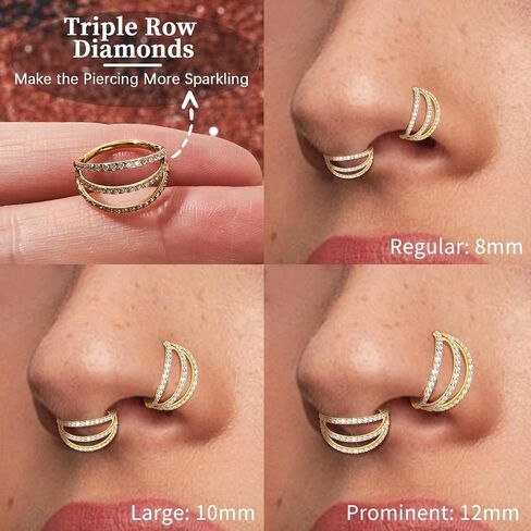 1PC Nose Ring Hoop G23 Titanium CZ Helix Rook Conch Cartilage Daith Tragus Earrings Hinged Segment Nostril Piercing Septum Clicker 18G 16G Silver Gold Lip Ring 8mm 10mm 12mm in Saudi Arabia