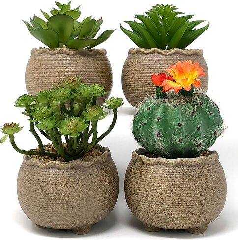 allgala Small Desktop Artificial Succulent Plant with Natural Clay Pot in Kuwait