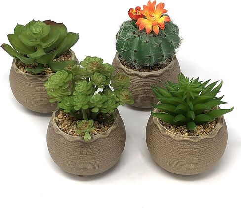 allgala Small Desktop Artificial Succulent Plant with Natural Clay Pot in Kuwait
