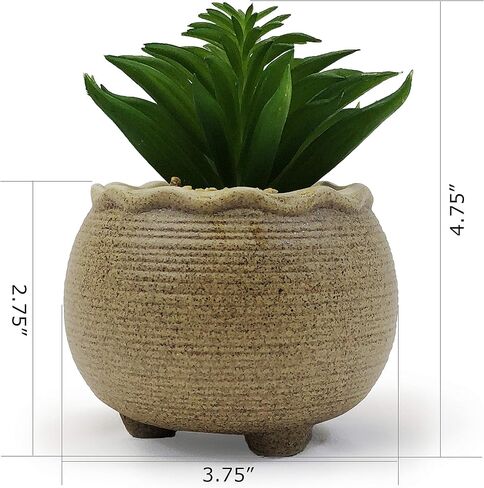 allgala Small Desktop Artificial Succulent Plant with Natural Clay Pot in Kuwait
