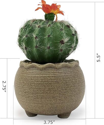 allgala Small Desktop Artificial Succulent Plant with Natural Clay Pot in Kuwait