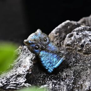 JIC Gem 1PC Natural AAA Labradorite Hand Carved The Angel Wing Skull Quartz Crystal and Healing Stone Reiki