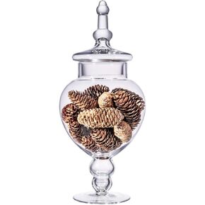 Large Glass Apothecary Jars with Lid, Clear Glass Candy Jar for Candy Buffet, Decorative Glass Jar for Party, Wedding and Home Decor, Elegant Glass Candy Canister (Height: 15", Diameter: 6.3")