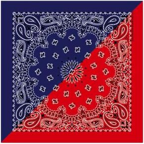 Blue/Red Split Paisley Bandanna, 22x22, Made in USA 100% Cotton