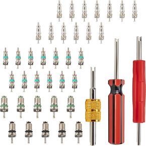 39 PCS Air Conditioning Valve Core Accessories Kit, R12 R134a Refrigeration Schrader Tire Valve Stem Cores with Single & Dual Heads Valve Core Remover Installer Tool, HVAC System Seal Caps Kit