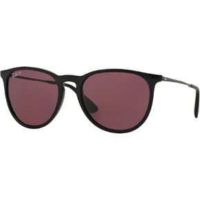 Ray-Ban RB4171 Erika Sunglasses + Vision Group Accessories Bundle