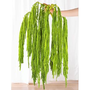 7Pcs Green Dried Amaranthus Hanging Flowers - 100% Natural Dye Light Green 23" Real Amaranthus, Preserved Dried Flowers for Wedding Arch Decor, Exhibition, Floral Arrangement