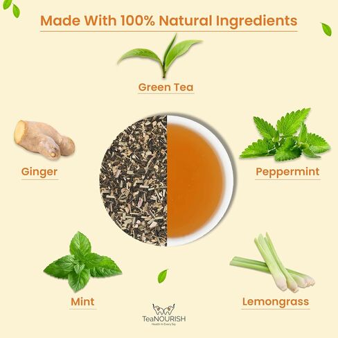 TeaNOURISH Ginger Mint Green Tea | Relaxing & Calming | Premium Darjeeling Loose Leaf | Immune Support Tea for Daily Wellness | 50 Cups Hot Tea or Iced Tea - 3.53oz/100g in Saudi Arabia