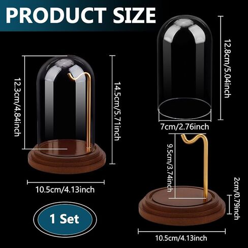 PH Pandahall Pocket Watch Display Display Dome مع Hook 5.7 "X4" Watch Display Case Watch Watch With Wood Base Plants Dome For Wath's Bead's Pocket Watches Medals Trolembles Ornamble in Kuwait
