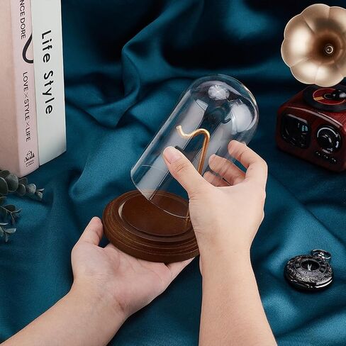 PH Pandahall Pocket Watch Display Display Dome مع Hook 5.7 "X4" Watch Display Case Watch Watch With Wood Base Plants Dome For Wath's Bead's Pocket Watches Medals Trolembles Ornamble in Kuwait