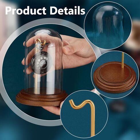 PH Pandahall Pocket Watch Display Display Dome مع Hook 5.7 "X4" Watch Display Case Watch Watch With Wood Base Plants Dome For Wath's Bead's Pocket Watches Medals Trolembles Ornamble in Kuwait