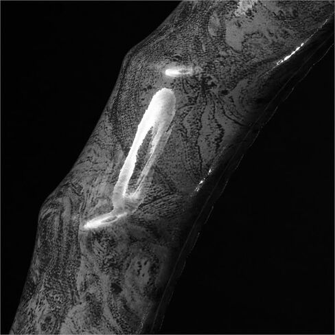 Wood Grain Steering Wheel Cover - Comfortable Grip, Artistic Design, Easy to Install, Universal Fit for Cars, Trucks, Vans & SUVs (White) in Kuwait