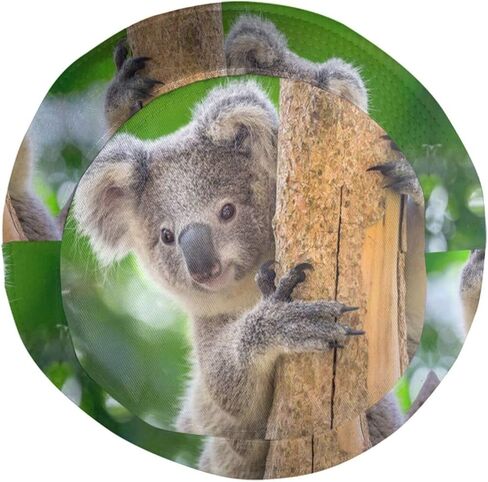 Cute Koala Bucket Hat Animal Bucket Hat Cute Sun Hat for Boys Girls Outing Picnic Travel in Kuwait