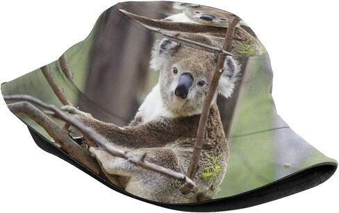 Cute Koala Bucket Hat Animal Bucket Hat Cute Sun Hat for Boys Girls Outing Picnic Travel in Kuwait