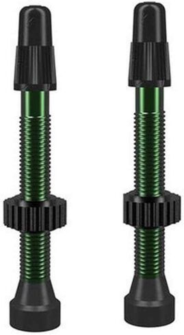 WTB Tcs Al Orange Presta Valve 46mm 2Pcs (W095-0062) in Saudi Arabia