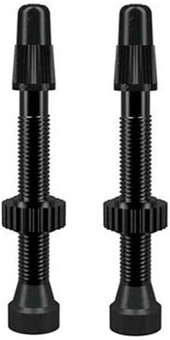 WTB Tcs Al Orange Presta Valve 46mm 2Pcs (W095-0062) in Saudi Arabia