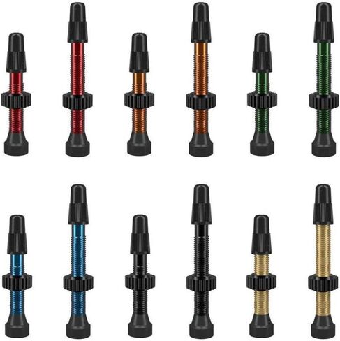 WTB Tcs Al Orange Presta Valve 46mm 2Pcs (W095-0062) in Saudi Arabia