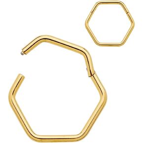 365 Sleepers Titanium Grade 18G Senxagonal Septum Jewelry مفصلية خاتم خاتم خاتم خارق حلقات الشفاه Helix Charilage Rook Sleeper Acks 8mm - 10mm