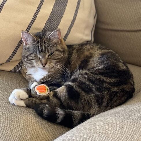 Huxley & Kent Cat Toy | Strawberry Donut | Strong Catnip Filled Cat Toy | Soft Plush Kitty Toy with Catnip and Crinkle | Kittybelles in Kuwait