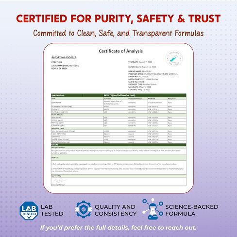 Quercetin Elderberry Turmeric Vitamin C Zinc - دعم المناعة - صنع في الولايات المتحدة الأمريكية in Kuwait