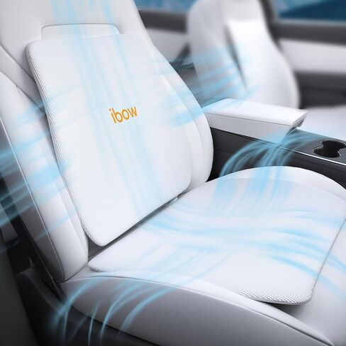 Seat Cushion and Back Support Pillow for Tesla Model Y 3 S X Hollow-Out Breathable Mesh Seat Pad and Back Strong Support Hip Waist Lumbar Pain Relief for Driving Car Office Home Use, White in Saudi Arabia