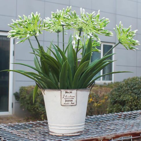 Faux Outdoor Flowers Realistic Artificial Plants 8 Bundles Agapanthus Plastic Flower Outside 18.9 in Fake Greenery Stems Green Flower for Pot Planter Decor Outside in Saudi Arabia