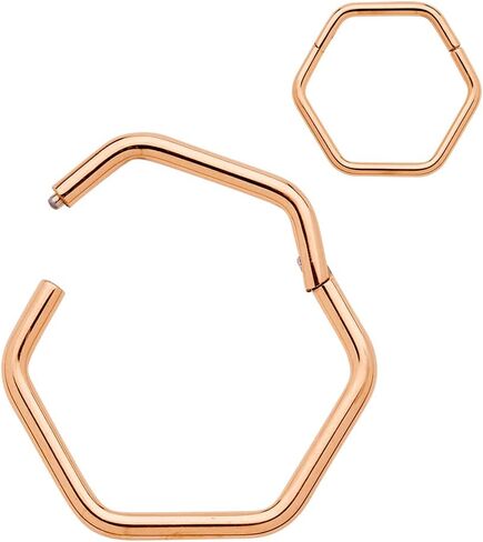 365 Sleepers Titanium Implant Grade 18G Hexagonal Septum Jewelry Hinged Segment Ring Body Piercing Hoop Lip Rings Helix Cartilage Rook Sleeper Earrings 8mm – 10mm in Kuwait