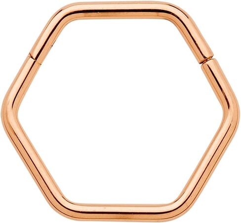 365 Sleepers Titanium Implant Grade 18G Hexagonal Septum Jewelry Hinged Segment Ring Body Piercing Hoop Lip Rings Helix Cartilage Rook Sleeper Earrings 8mm – 10mm in Kuwait