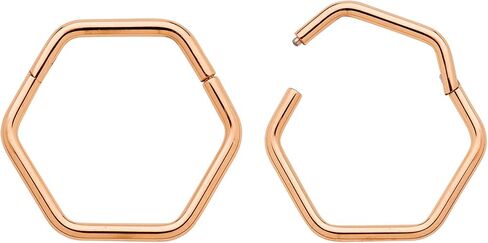 365 Sleepers Titanium Implant Grade 18G Hexagonal Septum Jewelry Hinged Segment Ring Body Piercing Hoop Lip Rings Helix Cartilage Rook Sleeper Earrings 8mm – 10mm in Saudi Arabia