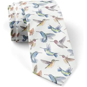 ( Hummingbirds Watercolors ) Fashion Novelty Necktie, Conversation Neckwear Ties Great for Party and Events