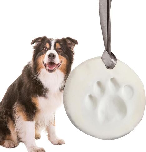 Green Pollywog Clay Paw Print DIY Ornament | Hanging Decoration with Air-Dry Clay Kit | Extra-Large Imprint Keepsake for Pets in Kuwait