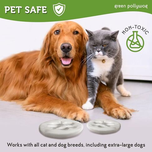 Green Pollywog Clay Paw Print DIY Ornament | Hanging Decoration with Air-Dry Clay Kit | Extra-Large Imprint Keepsake for Pets in Kuwait