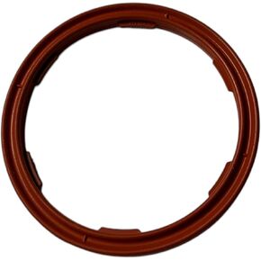BMW 12-61-1-744-292 Gasket (RING:889520), 1 Pack