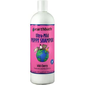 Earthbath، شامبو الكلاب بالشاي الأخضر وAwapuhi Shed Control - شامبو للكلاب خالٍ من القسوة، يساعد على تخفيف تساقط الشعر وقشرة الرأس، غسول لطيف للكلاب، صنع في الولايات المتحدة الأمريكية، مستلزمات استحمام للكلاب - 16 أونصة (عبوة واحدة)