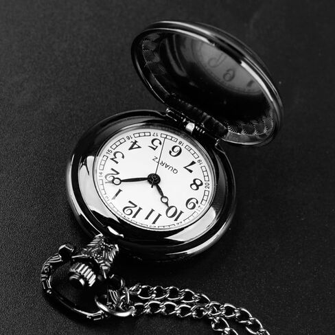 عتيقة Wolf Design Glass Dome Containt Watch مع Dial Dial Numeral Dial للرجال والنساء الهدايا الإبداعية (TP-028) in Saudi Arabia