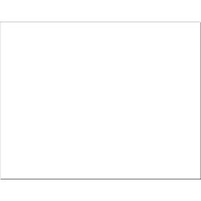 Pacon 6-Ply Railroad Board, 22" x 28", White