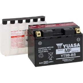 Yuasa YUAM629B4 YT9B-BS Battery, Multi-Colored