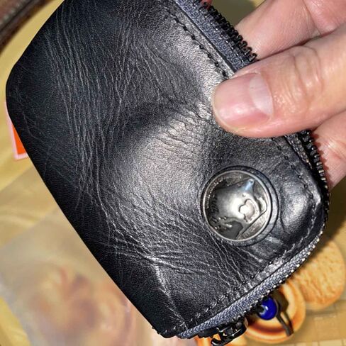 JSBWSFA 1 Pcs Mini Leather Zipper Bag Car Key Bag Coin Organizer Change Holder Key Protection Bag With Metal Hooks in Saudi Arabia