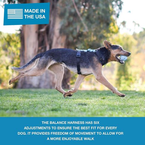 Blue-9 Pet Products No-Pull Balance Harness and Loose Leash Walking Set Dogs, Made in The USA, Blue, Large in Saudi Arabia