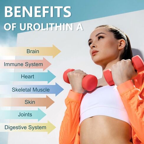 Urolithin A Supplement 1000mg with NAD,CoQ10,Supplement for Women 120 Softgels for Muscle Energy Antioxidants(Pack of 2) in Saudi Arabia