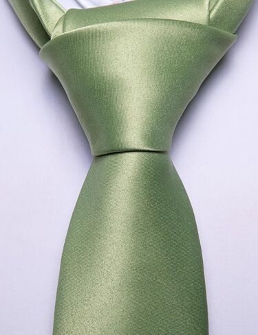 Barry.Wang Solid Color Pre-tied Ties for Men Zipper Necktie and Pocket Square Tie Clip Set Adjustable Neck Tie Wedding in Kuwait