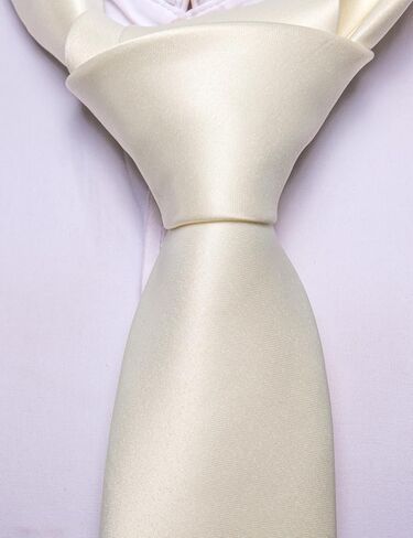 Barry.Wang Solid Color Pre-tied Ties for Men Zipper Necktie and Pocket Square Tie Clip Set Adjustable Neck Tie Wedding in Kuwait
