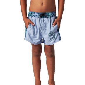 Rip Curl Boys' Energy Block Volley Boardshorts