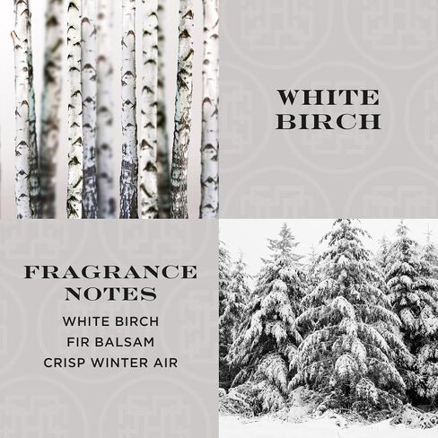 HomeWorx by SLATKIN + CO. White Birch Reed Stick Diffuser in Saudi Arabia